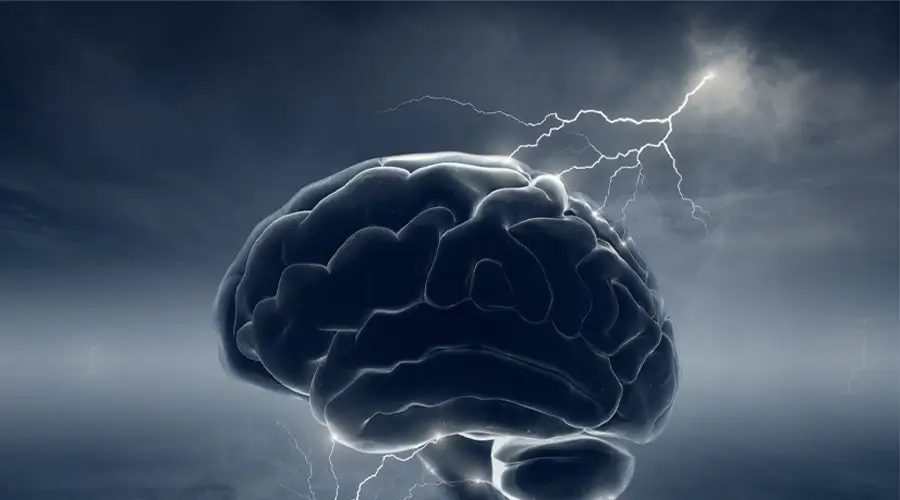 What Happens in Your Brain When You Journal